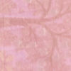 Purple Elegance Extravaganza Saree